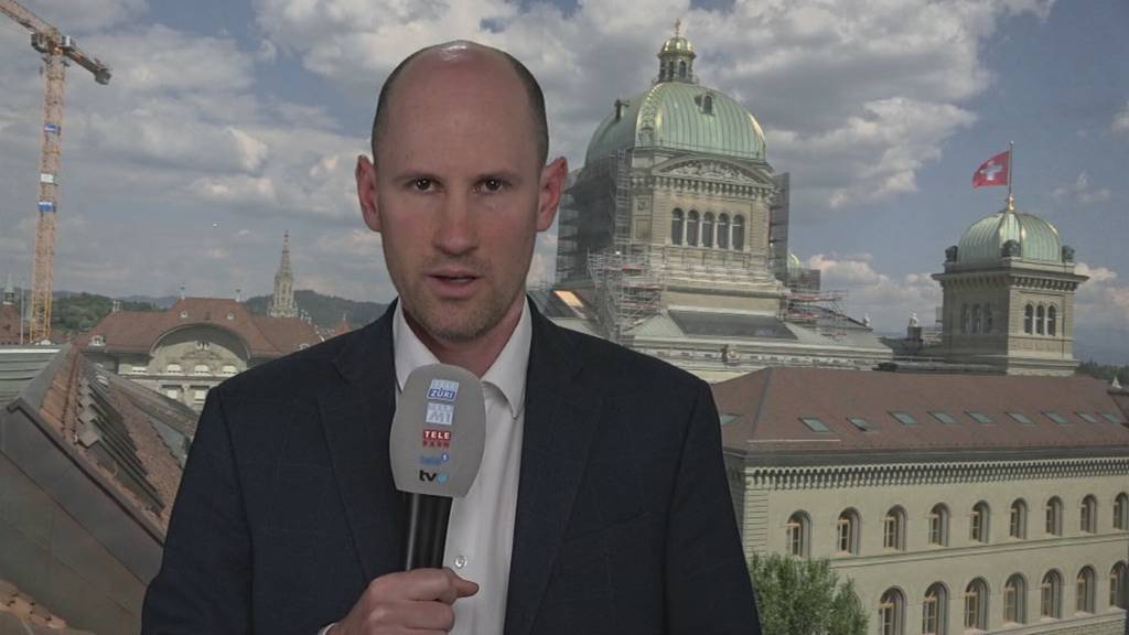 Einschätzung zur Selenski-Rede