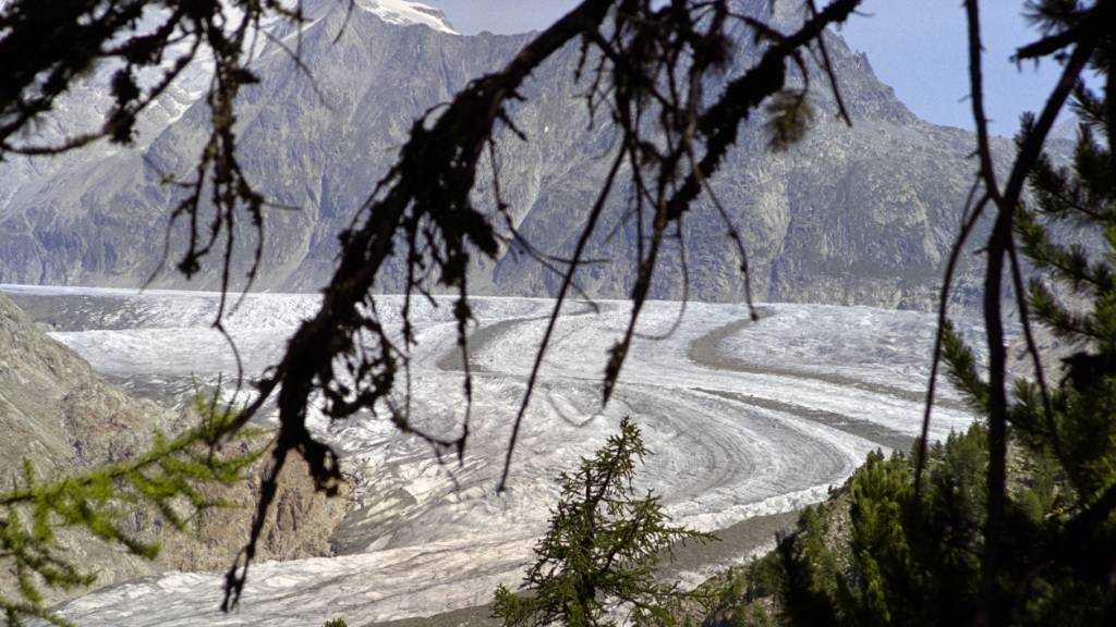Dem Grossen Aletschgletscher ging es 2026 schlecht - er gehört zu den vier grossen Gletschern, bei denen 2026 das schlechteste Jahr der gesamten Messreihe war.