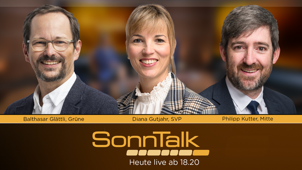 Abstimmungen, Demokratie-Initiative und Rettung Stahlindustrie