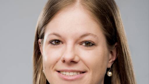 Welche Kosten Littering in der gesamten Schweiz verursacht