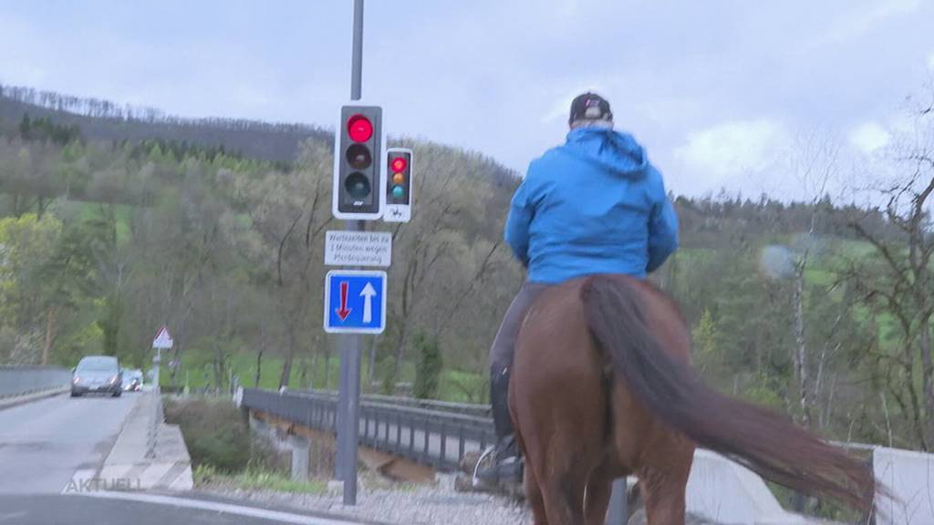 Novum: Bei dieser Aargauer Brücke gibt es seit heute eine Ampel für Pferde