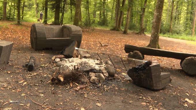 Vandalen zerholzen Sitzbänke im Bremgartenwald