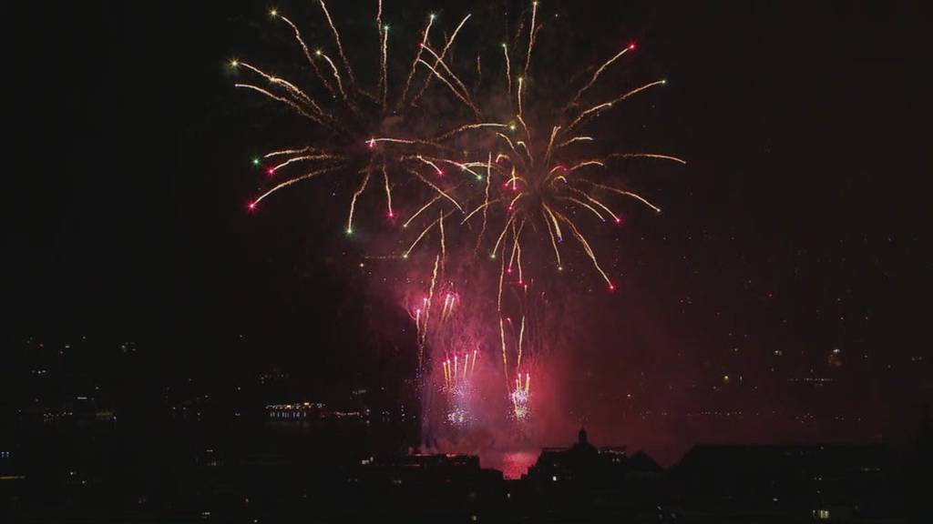 Kontroverse Debatte um Feuerwerks-Initiative im Nationalrat