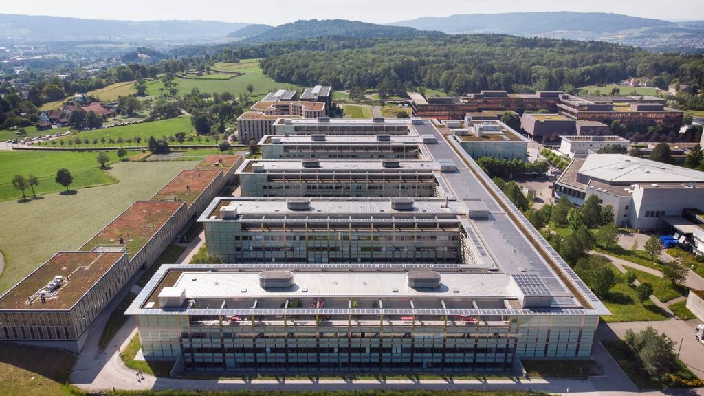 Die ETH Zürich unterstützt Spin-offs seit 2005. Heute gibt es zwei Dutzend Neugründungen pro Jahr an der Eidgenössischen Technischen Hochschule.