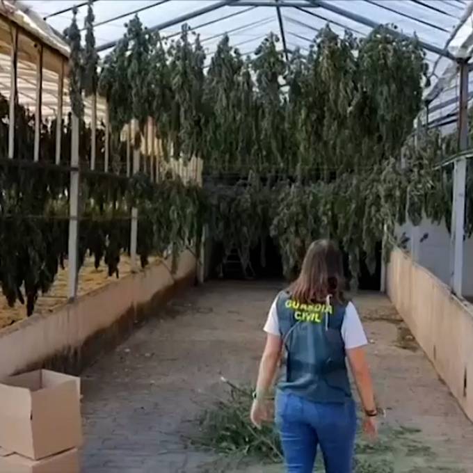 Rekordmenge an Marihuana in Spanien beschlagnahmt