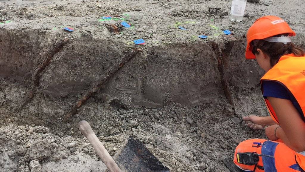 Eine Archäologin legt fast 6000-jährige Pfähle einer Palisade frei.