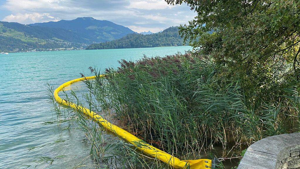 Die Feuerwehr errichtete Ölsperren im Zugersee.