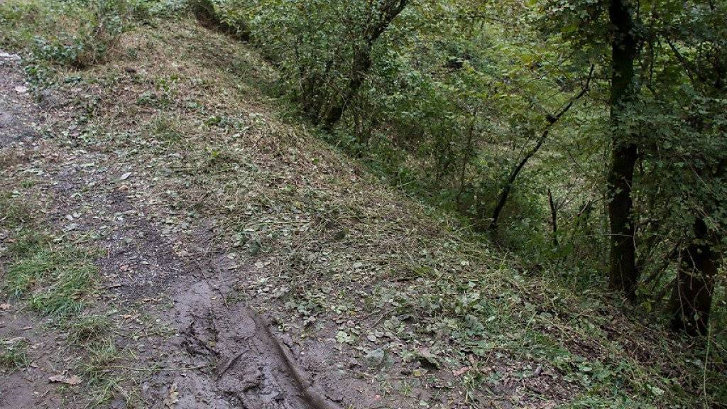 In diesem Waldstück bei Rodero (I) in der Nähe der Schweizer Grenze wurde eine Tessinerin tot aufgefunden. In der Nacht auf Mittwoch wurde der Schwager des Opfers als mutmasslicher Täter festgenommen.