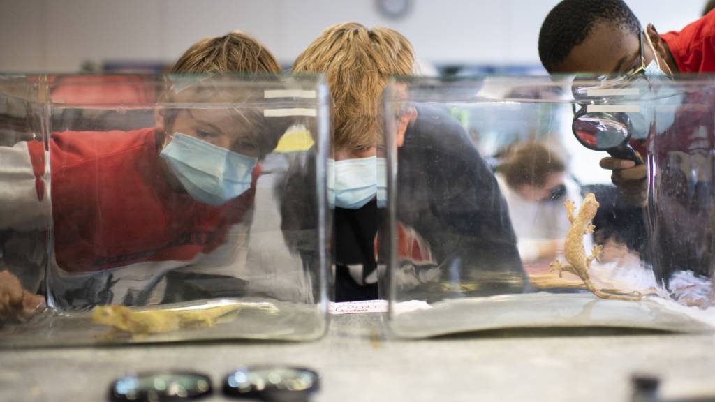 Fähigkeiten im MINT-Bereich werden vor allem Buben und Männern zugeschrieben. (Archivbild)