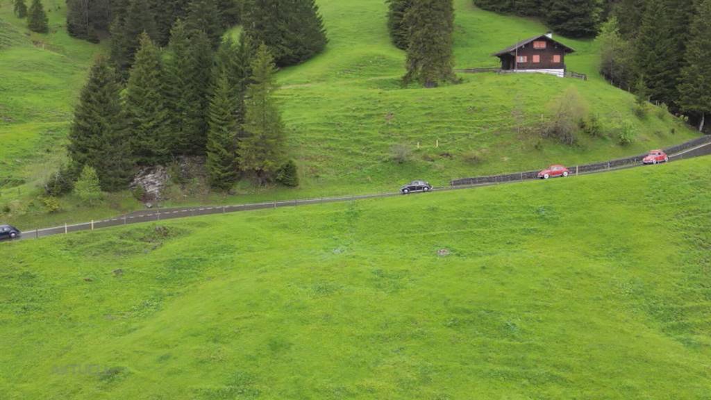 Tolle Stimmung bei VW-Uraltkäferclub-Tour