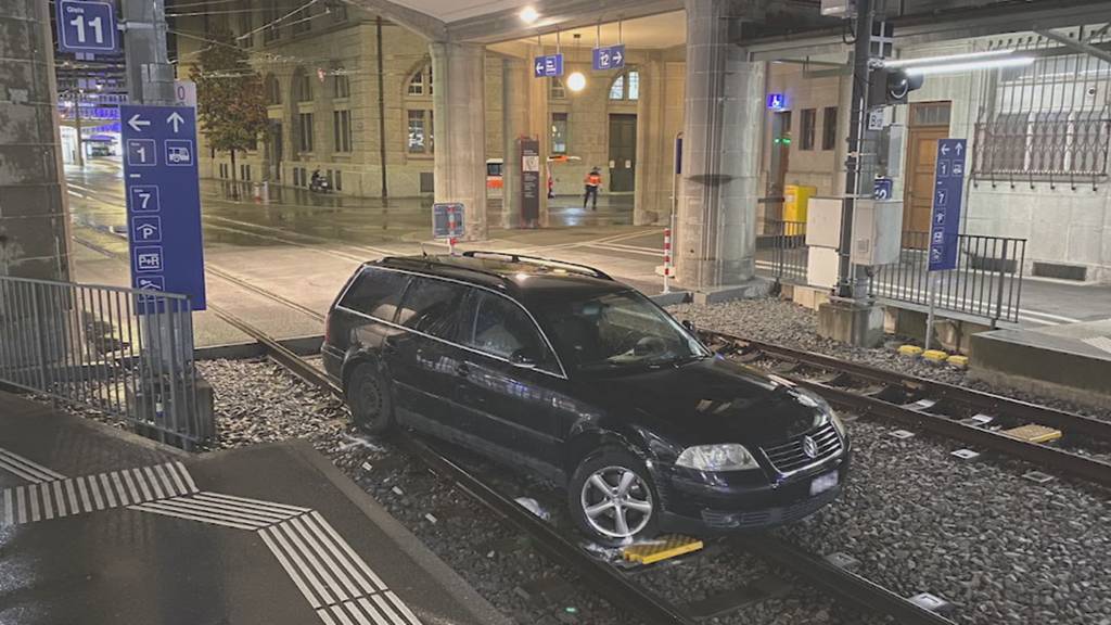 Die schrägsten Polizeieinsätze