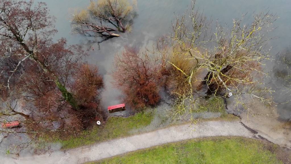 Hochwasser am Greifensee