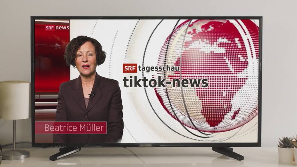 Abstimmungskampf um Halbierungsinitiative