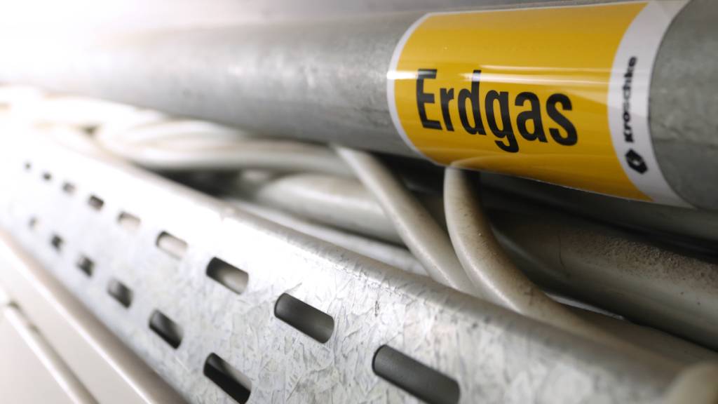 Die Europäische Union will unabhängig von Erdgas aus Russland sein. (Archivbild)