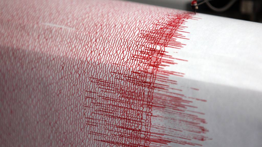 ARCHIV - Der Seismograph einer Erdbebenwarte verzeichnet Ausschläge. Foto: Oliver Berg/dpa (Archivbild)
