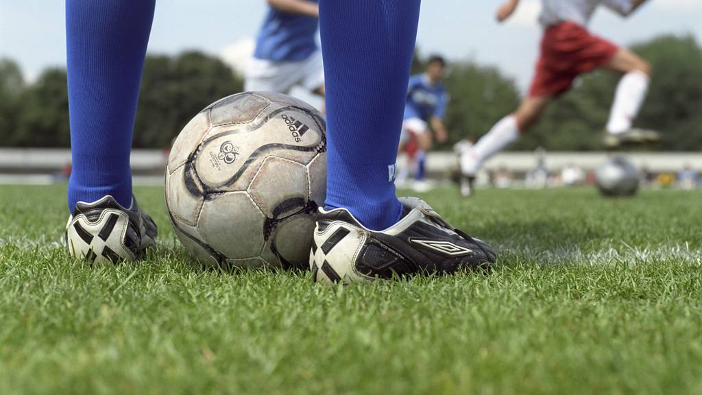 Ohne TV durch die Fussball WM? Ruft die Nachbarn an!
