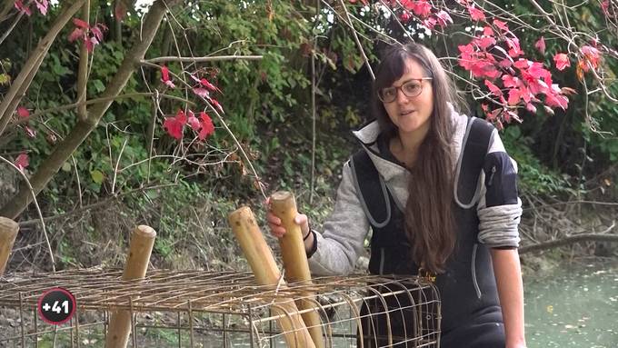 Viviane und die Biber