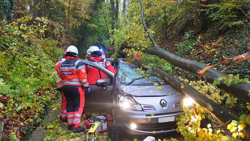Ein Mann aus der Schweiz wurde am Sonntag im deutschen Schliengen schwer verletzt, als ein umstürzender Baum sein Auto traf.