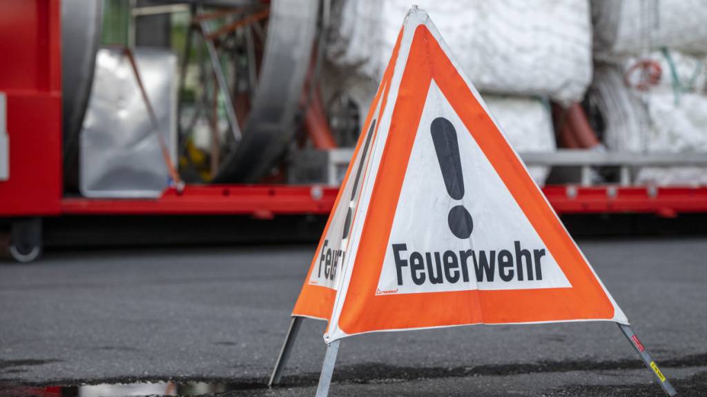 Die Luzerner Polizei hat die Ursachen zweier Brandfälle in Langnau bei Reiden und Nebikon geklärt. (Symbolbild)