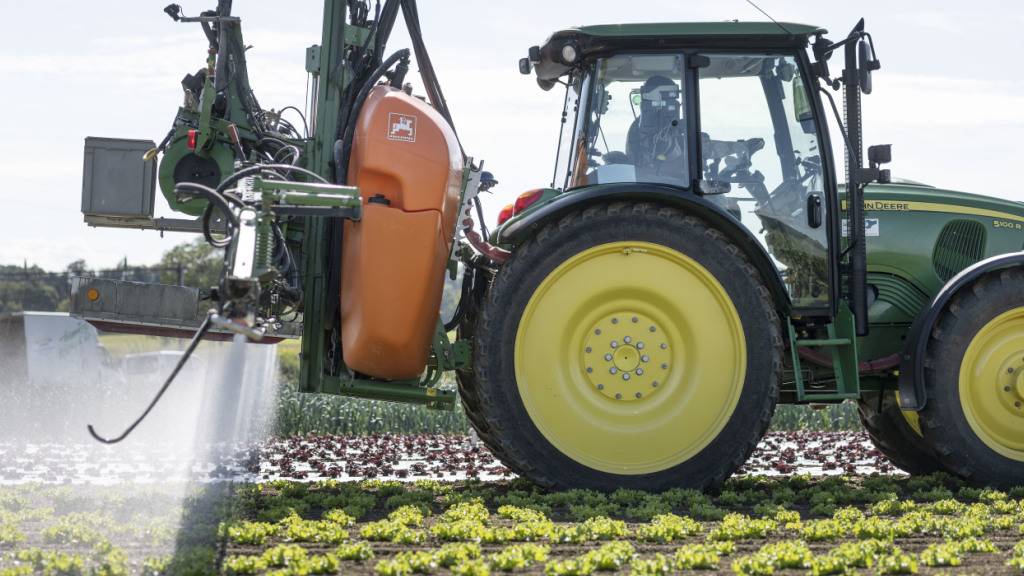 Der Umgang mit Pestiziden beschäftigt die Politik seit Längerem. (Themenbild)