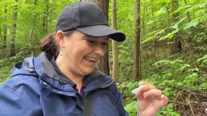 Warum Forscher im Irchel-Wald massenweise Zecken einsammeln