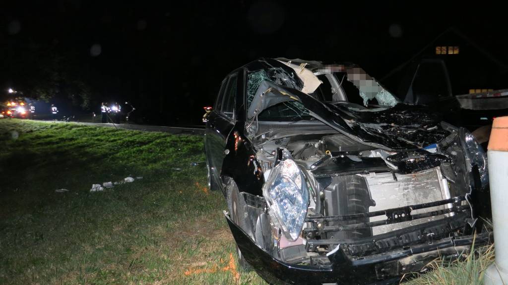 In Waldkirch verunfallte ein Autofahrer aufgrund einer Pferdeherde auf der Strasse.