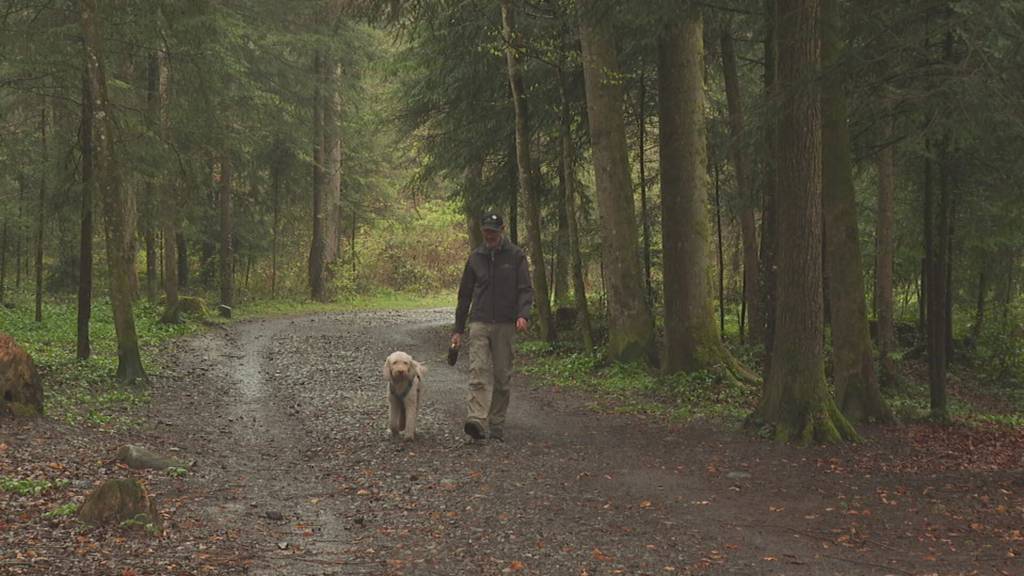 Güsel häuft sich rund um den Pilatus