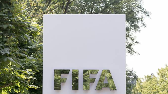 Wieder Ungarn im Fokus - FIFA kündigt Massnahmen an