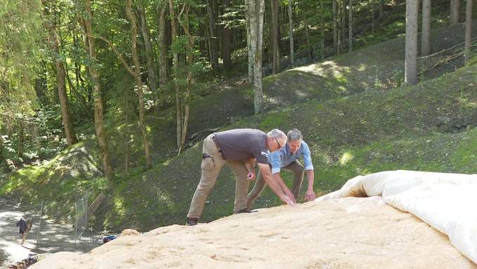 Ein Pilz soll für weniger Schmelze beim Schneelager in Engelberg sorgen