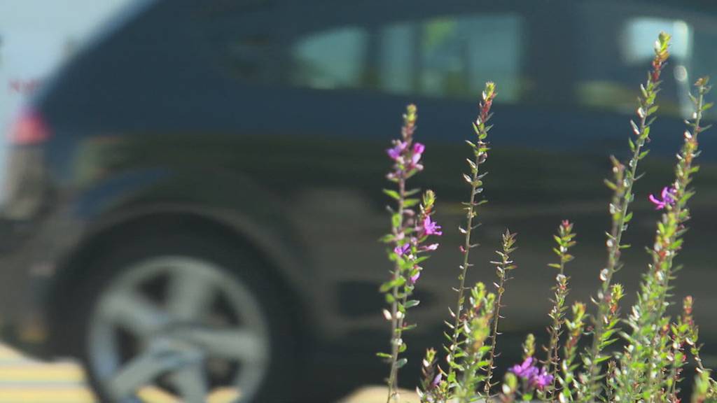 Edi Neuschwander erklärt Kindern den sicheren Schulweg