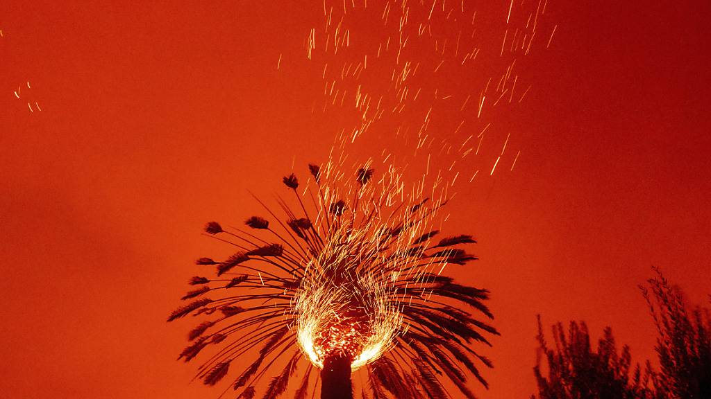 ARCHIV - Funken fliegen bei einem Buschfeuer, dem Glass-Feuer, aus einer brennenden Palme. Seit der Jahrtausendwende sind nach einem UN-Bericht deutlich mehr Naturkatastrophen passiert als in den 20 Jahren davor. Foto: Noah Berger/AP/dpa