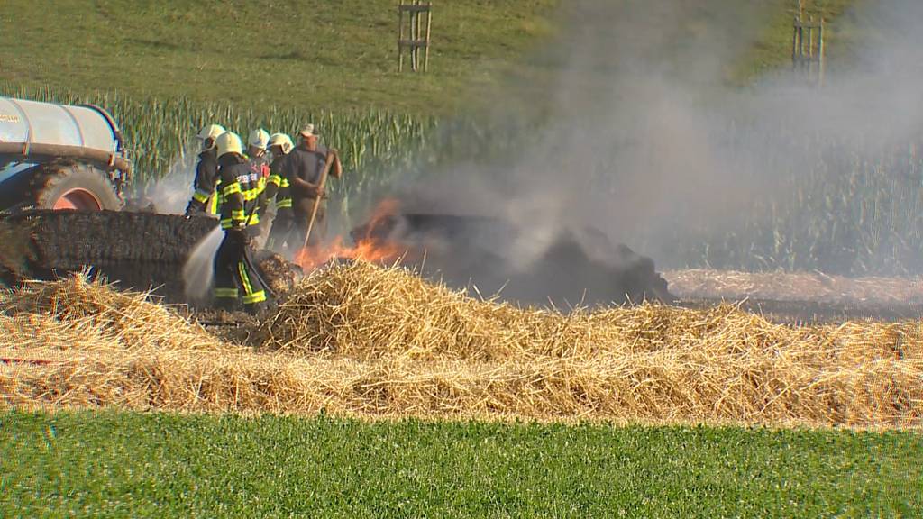Ballenpresse löst Brand aus – 7500 Quadratmeter Weizenfeld zerstört