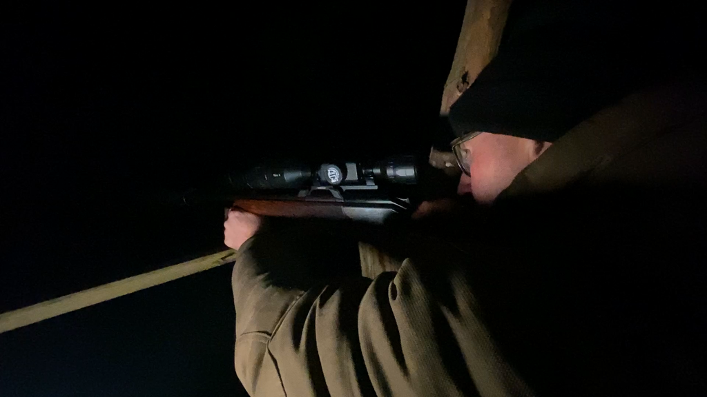 Auf Wildschwein-Jagd 