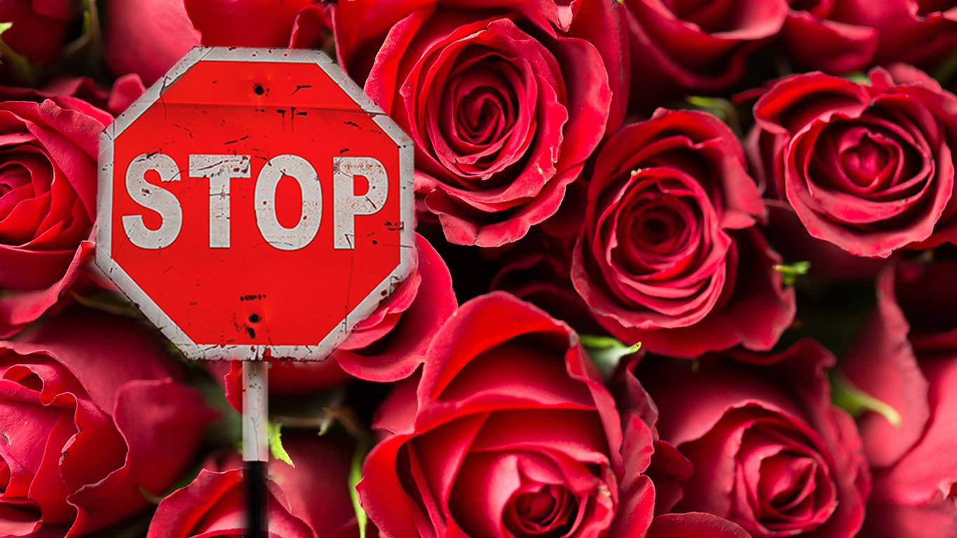 Last Minute Valentinstag Geschenke Radio Argovia