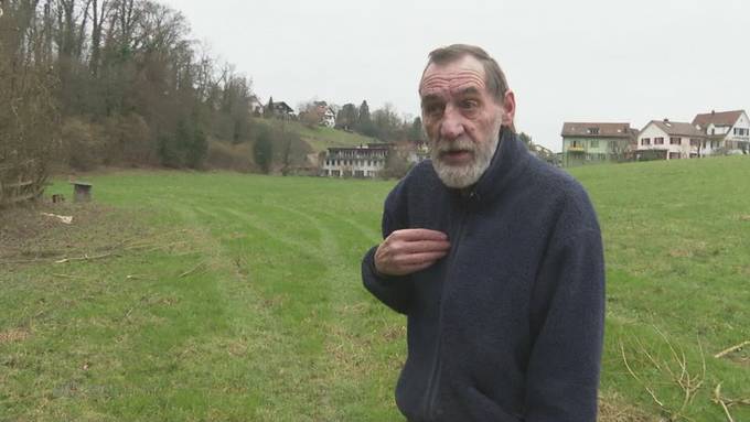 Heckenknatsch: In Turgi sorgt ein Busch für Zündstoff