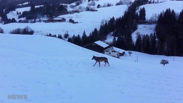 Kurzmeldungen des Tages