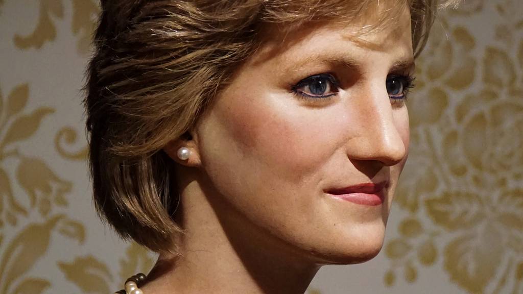 lady-di-1829797_1920