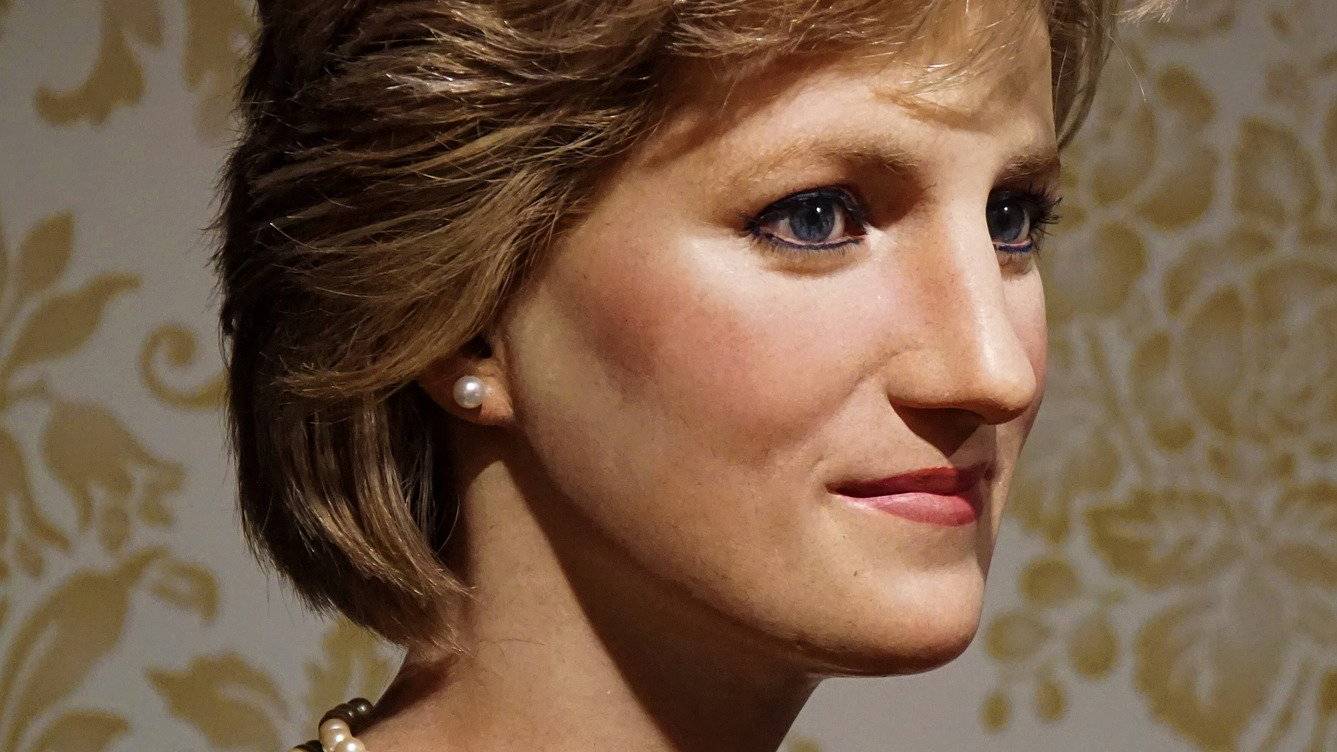 lady-di-1829797_1920