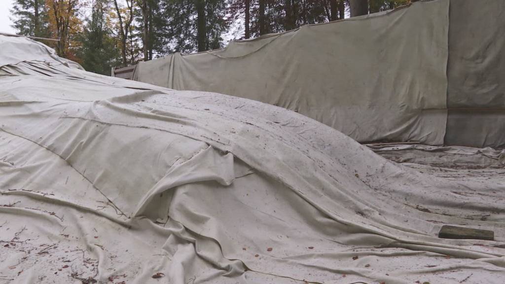 Mit Pilz gegen Schneeschmelze – erste Bilanz in Engelberg