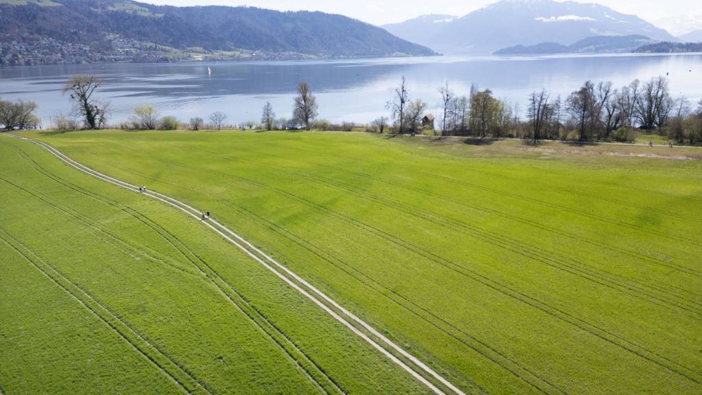 Zuger Lorzenebene ist die Landschaft des Jahres 2026