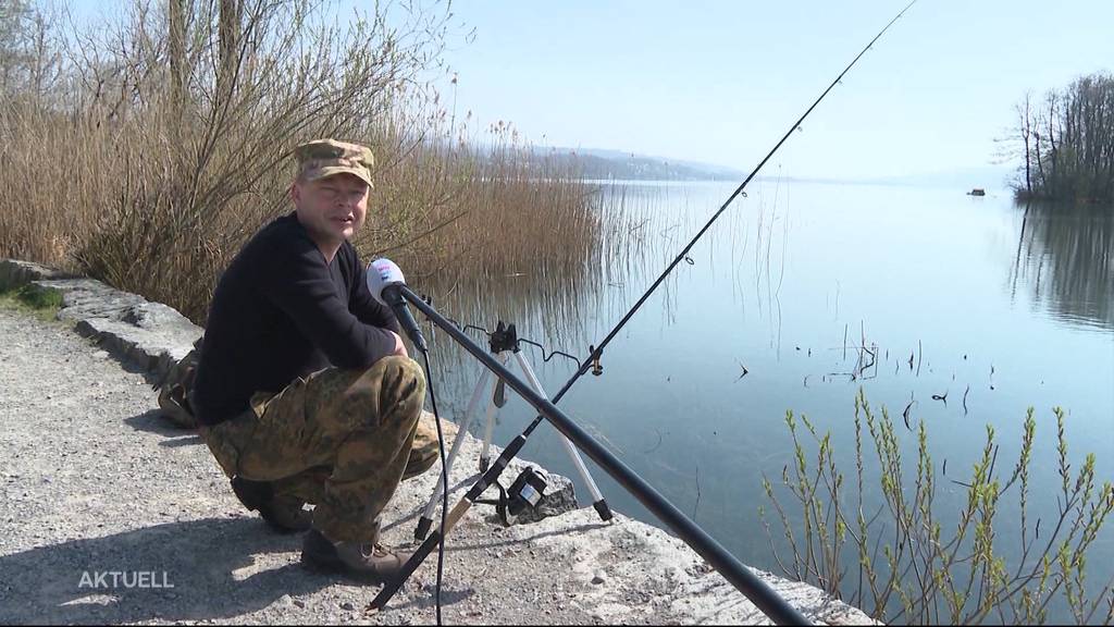 Riesiger Ansturm auf Hallwilersee