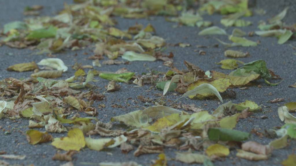 Extreme Trockenheit: Kanton St.Gallen ruft zum Wassersparen auf