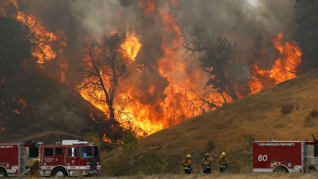 Feuerwehrleute kämpfen gegen die Flammen bei Santa Clarita.
