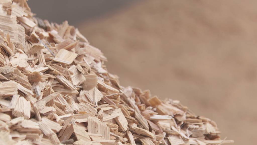 Schweizweit einzigartig: In Küssnacht werden Holzfaserdämmplatten hergestellt