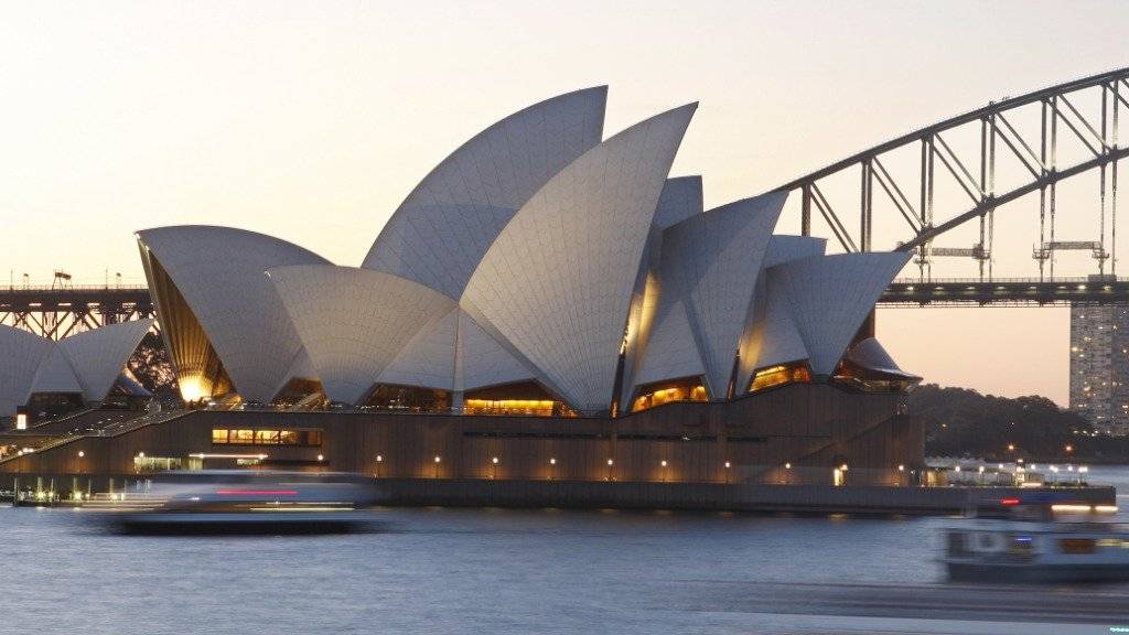 Wenn Seehunde eine Kamera hätten, würden sie das Opernhaus von Sydney fotografieren. So bleibt ihnen nur, sich einen Sonnenplatz auf den Stufen davor zu ergattern - und das tut seit einiger Zeit einer von ihnen in der australischen Metropole (Archivbild aus dem Jahr 2008).