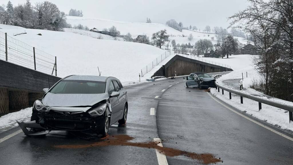 Beim Überholmanöver zwischen zwei Autos in Menzingen ZG wurden am Sonntagmorgen vier Personen verletzt.