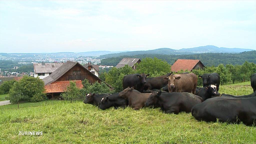 Doppelinitiative für mehr Naturschutz