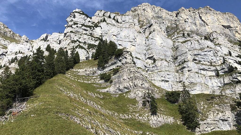 In Walenstadtberg SG ist ein 50-jähriger Australier bei einem Flug mit dem Wingsuit tödlich verunglückt. Er startete von einem in der Szene beliebten Absprungplatz namens «Fatal Attraction».