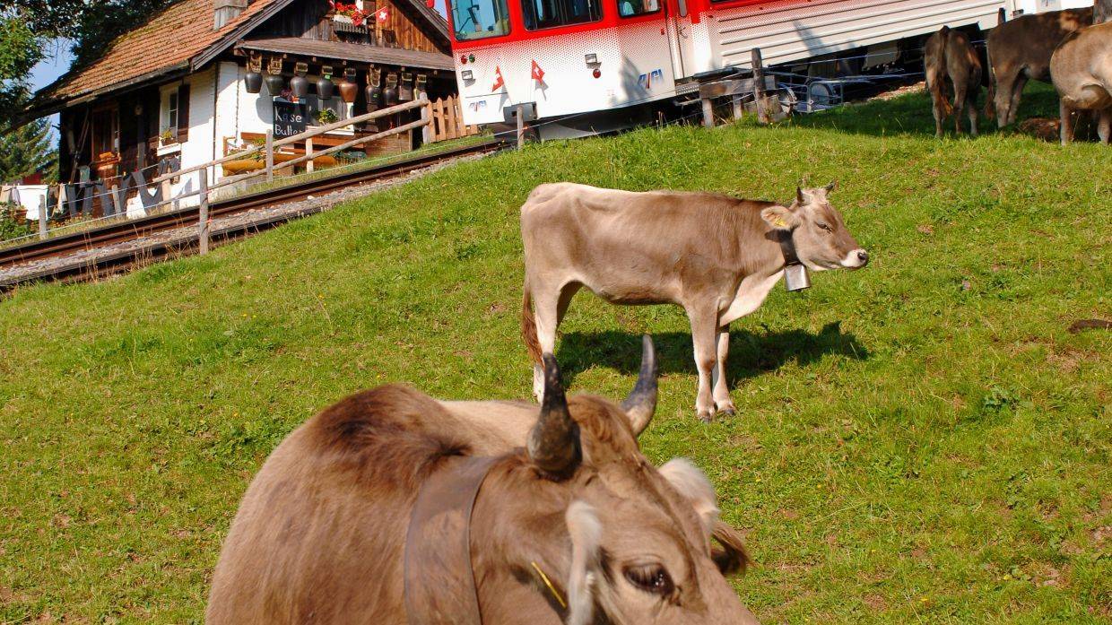 Freizeittipp:  Herbstausflüge Zentralschweiz mit dem Tellpass