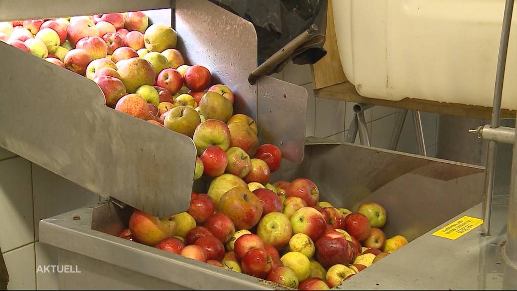 Besonders frühe Apfelernte: Was bedeutet das für die Süssmostproduktion?